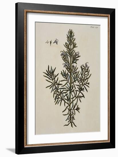 Rosemary-Elizabeth Blackwell-Framed Giclee Print