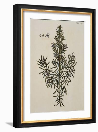 Rosemary-Elizabeth Blackwell-Framed Giclee Print