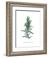 Rosemary-Jo Moulton-Framed Art Print