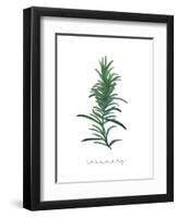 Rosemary-Jo Moulton-Framed Art Print