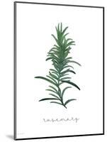 Rosemary-Jo Moulton-Mounted Art Print