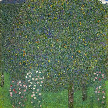 Rosen unter Bäumen. Um 1904' Giclee Print - Gustav Klimt | Art.com