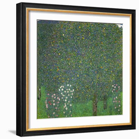 Rosen unter Bäumen. Um 1904-Gustav Klimt-Framed Giclee Print