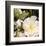 Roses 11-Rick Novak-Framed Art Print