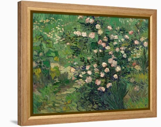 Roses, 1889-Vincent van Gogh-Framed Premier Image Canvas