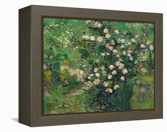 Roses, 1889-Vincent van Gogh-Framed Premier Image Canvas