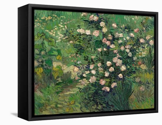 Roses, 1889-Vincent van Gogh-Framed Premier Image Canvas