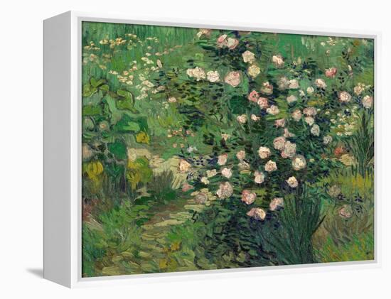 Roses, 1889-Vincent van Gogh-Framed Premier Image Canvas