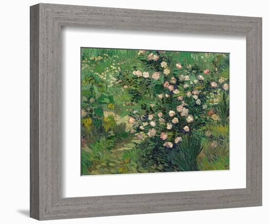 Roses, 1889-Vincent van Gogh-Framed Giclee Print