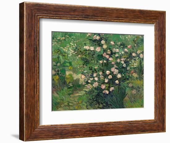 Roses, 1889-Vincent van Gogh-Framed Giclee Print