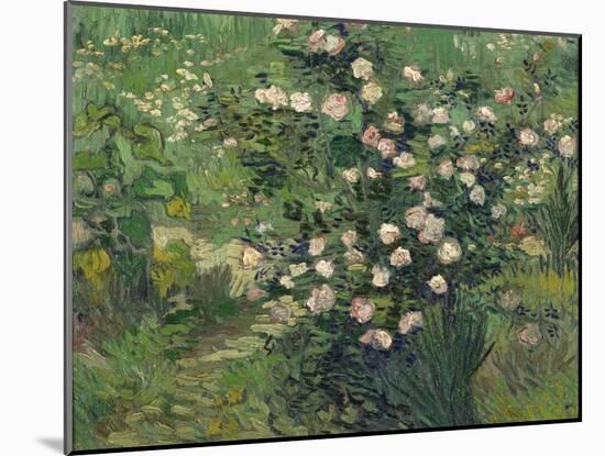 Roses, 1889-Vincent van Gogh-Mounted Giclee Print