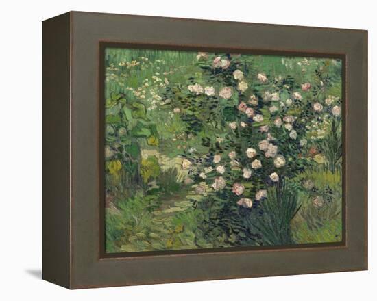 Roses, 1889-Vincent van Gogh-Framed Premier Image Canvas