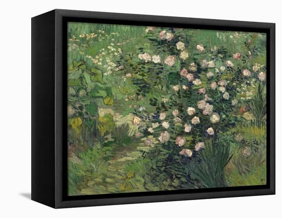 Roses, 1889-Vincent van Gogh-Framed Premier Image Canvas