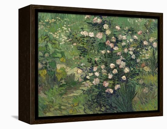 Roses, 1889-Vincent van Gogh-Framed Premier Image Canvas