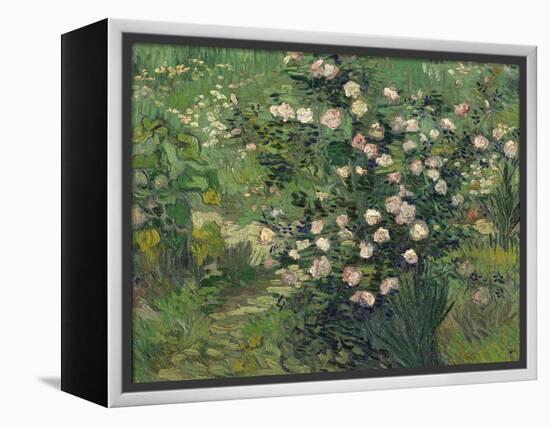 Roses, 1889-Vincent van Gogh-Framed Premier Image Canvas