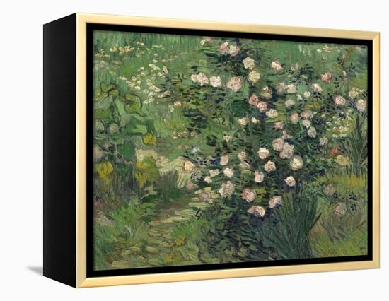 Roses, 1889-Vincent van Gogh-Framed Premier Image Canvas