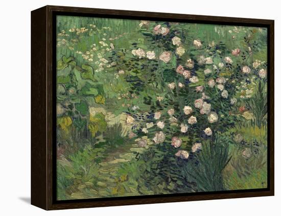 Roses, 1889-Vincent van Gogh-Framed Premier Image Canvas