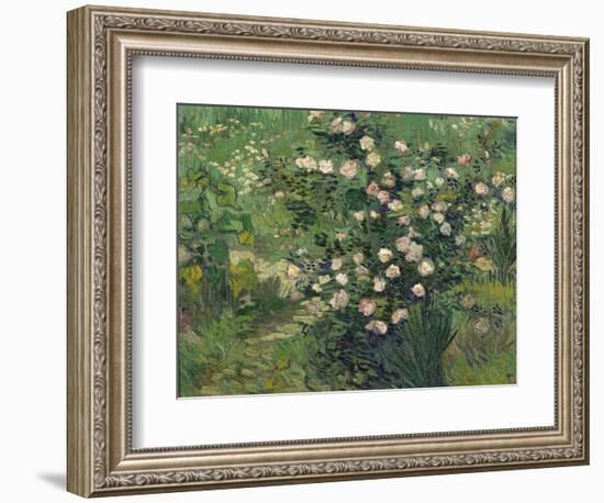 Roses, 1889-Vincent van Gogh-Framed Giclee Print