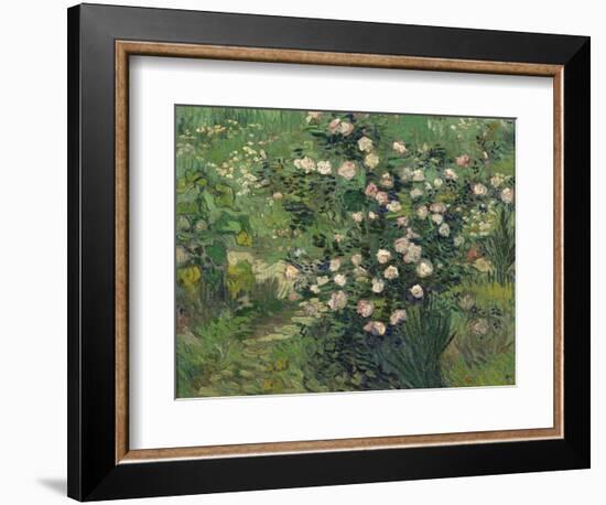 Roses, 1889-Vincent van Gogh-Framed Giclee Print