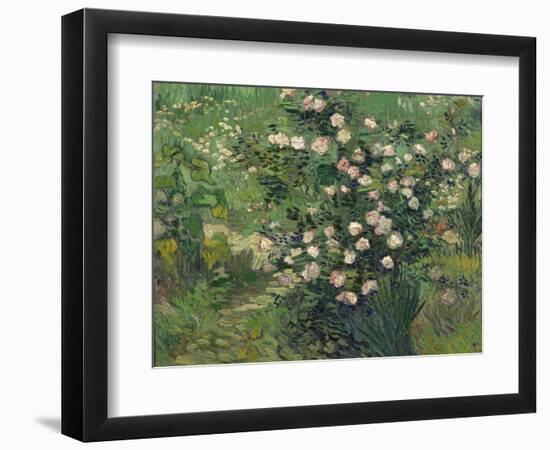 Roses, 1889-Vincent van Gogh-Framed Giclee Print