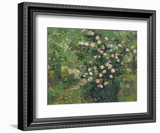 Roses, 1889-Vincent van Gogh-Framed Giclee Print