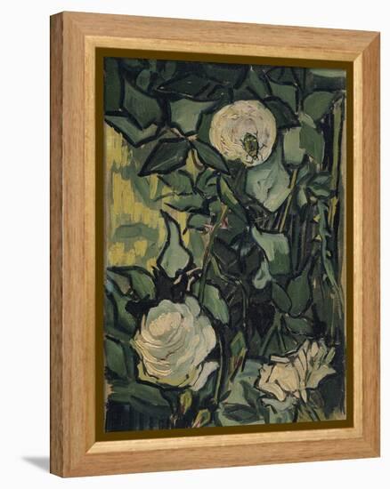 Roses, 1890-Vincent van Gogh-Framed Premier Image Canvas