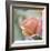 Roses 2-Florence Delva-Framed Limited Edition