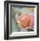 Roses 2-Florence Delva-Framed Limited Edition