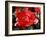 Roses 2-Ryuji Adachi-Framed Photographic Print