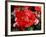 Roses 2-Ryuji Adachi-Framed Photographic Print