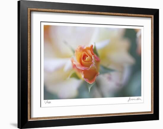 Roses 3-Florence Delva-Framed Limited Edition