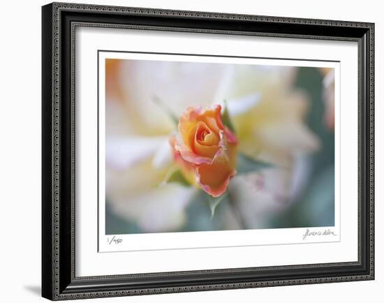 Roses 3-Florence Delva-Framed Limited Edition