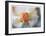 Roses 3-Florence Delva-Framed Limited Edition