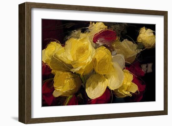 Roses 4-Sarah Butcher-Framed Art Print