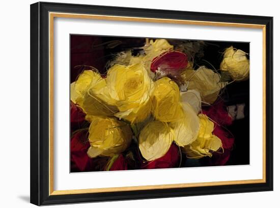 Roses 4-Sarah Butcher-Framed Art Print