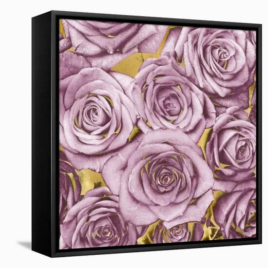 Roses - Amethyst on Gold-Kate Bennett-Framed Stretched Canvas