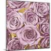 Roses - Amethyst on Gold-Kate Bennett-Mounted Art Print