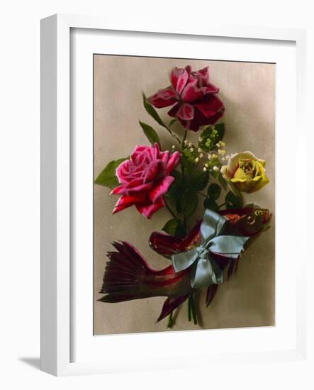 Roses and a Gift-Wrapped Fish C.1898 (Hand-Tinted Photo)-French School-Framed Giclee Print