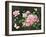 Roses and Butterflies-Maria Rytova-Framed Giclee Print