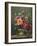 Roses and Pansies-Albert Williams-Framed Giclee Print