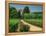 Roses and Vines in Vineyard Near Beaune, Cotes De Beaune, Burgundy, France, Europe-Michael Busselle-Framed Premier Image Canvas