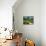 Roses and Vines in Vineyard Near Beaune, Cotes De Beaune, Burgundy, France, Europe-Michael Busselle-Mounted Photographic Print displayed on a wall