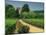 Roses and Vines in Vineyard Near Beaune, Cotes De Beaune, Burgundy, France, Europe-Michael Busselle-Mounted Photographic Print