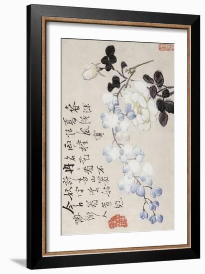 Roses and Wisteria-Li Shan-Framed Giclee Print