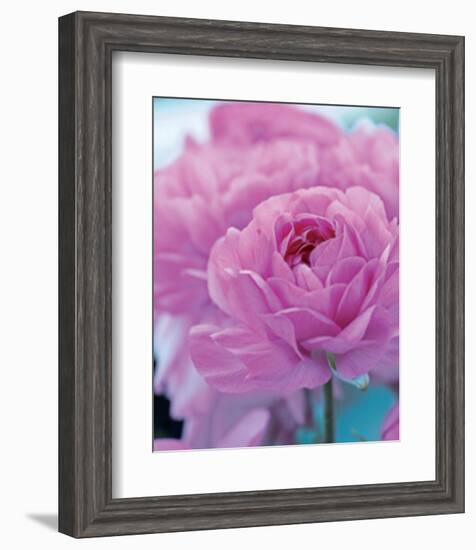 Roses Anglaises-Friis Larsen-Framed Art Print