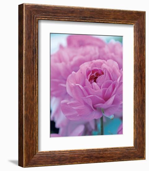 Roses Anglaises-Friis Larsen-Framed Art Print