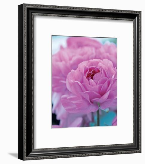 Roses Anglaises-Friis Larsen-Framed Art Print