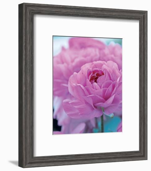 Roses Anglaises-Friis Larsen-Framed Art Print