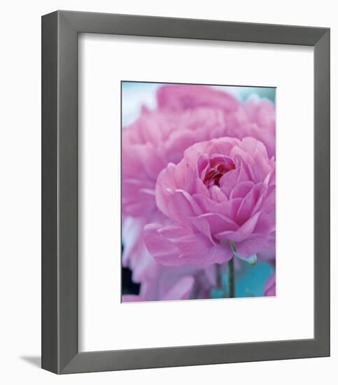 Roses Anglaises-Friis Larsen-Framed Art Print