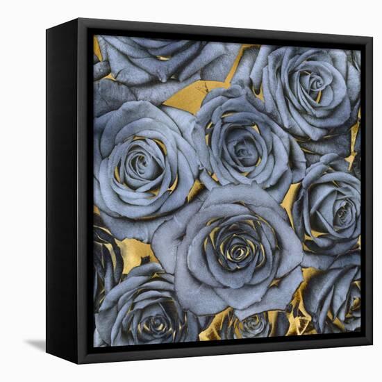 Roses - Blue on Gold-Kate Bennett-Framed Stretched Canvas